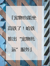 宠物也能坐高铁了！哈铁推出“宠物托运”服务
