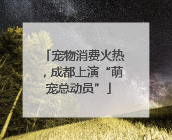 宠物消费火热，成都上演“萌宠总动员”