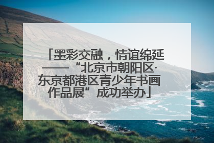 墨彩交融，情谊绵延——“北京市朝阳区·东京都港区青少年书画作品展”成功举办
