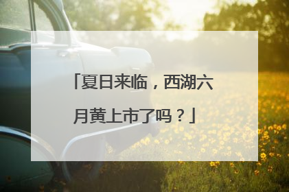 夏日来临，西湖六月黄上市了吗？