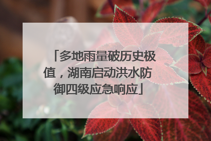 多地雨量破历史极值，湖南启动洪水防御四级应急响应