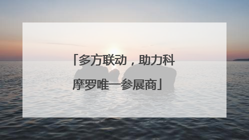 多方联动，助力科摩罗唯一参展商
