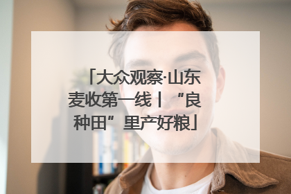 大众观察·山东麦收第一线丨“良种田”里产好粮