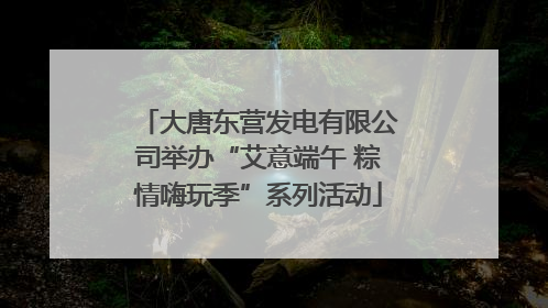 大唐东营发电有限公司举办“艾意端午 粽情嗨玩季”系列活动