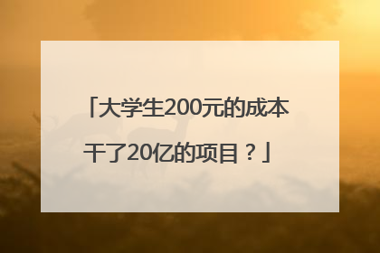 大学生200元的成本干了20亿的项目？