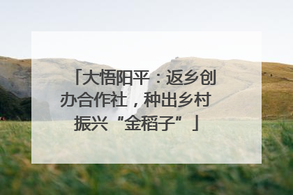 大悟阳平：返乡创办合作社，种出乡村振兴“金稻子”