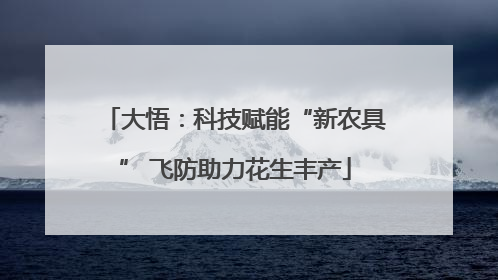 大悟：科技赋能“新农具” 飞防助力花生丰产