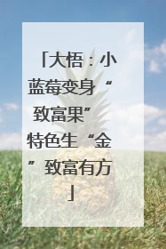 大悟：小蓝莓变身“致富果” 特色生“金”致富有方