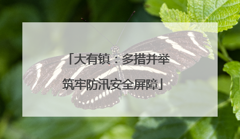 大有镇：多措并举筑牢防汛安全屏障