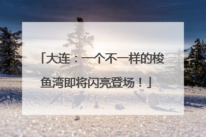 大连：一个不一样的梭鱼湾即将闪亮登场！