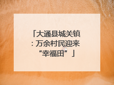 大通县城关镇：万余村民迎来“幸福田”