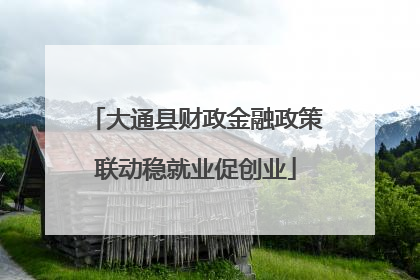 大通县财政金融政策联动稳就业促创业