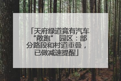 天府绿道竟有汽车“敞跑” 园区：部分路段和村道重叠，已做减速提醒