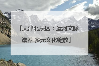 天津北辰区：运河文脉滋养 多元文化绽放