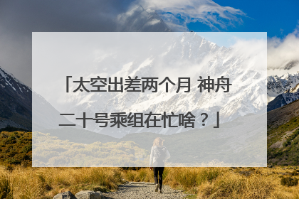 太空出差两个月 神舟二十号乘组在忙啥？