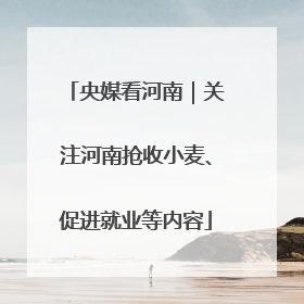 央媒看河南｜关注河南抢收小麦、促进就业等内容