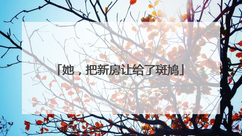 她，把新房让给了斑鸠