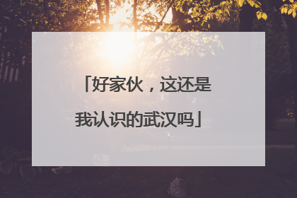 好家伙，这还是我认识的武汉吗