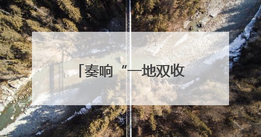 奏响“一地双收”致富曲——鄄城县董口镇发展特色种植产业侧记