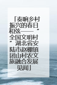 奏响乡村振兴的春日和弦——“全国文明村”湖北省安陆市赵棚镇团山村农文旅融合发展见闻