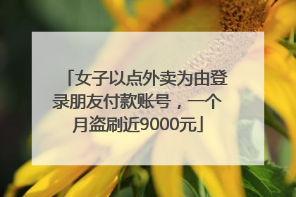 女子以点外卖为由登录朋友付款账号，一个月盗刷近9000元