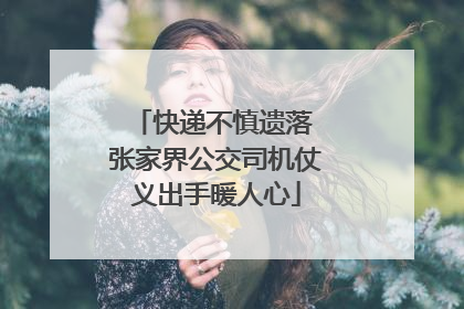 快递不慎遗落 张家界公交司机仗义出手暖人心