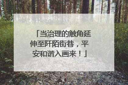 当治理的触角延伸至阡陌街巷，平安和谐入画来！
