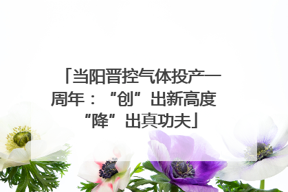 当阳晋控气体投产一周年：“创”出新高度 “降”出真功夫