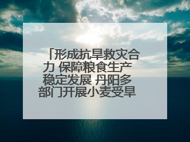 形成抗旱救灾合力 保障粮食生产稳定发展 丹阳多部门开展小麦受旱情况调研