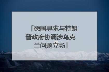 德国寻求与特朗普政府协调涉乌克兰问题立场