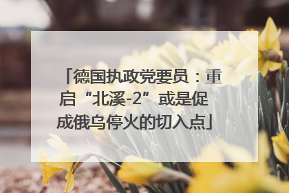 德国执政党要员：重启“北溪-2”或是促成俄乌停火的切入点
