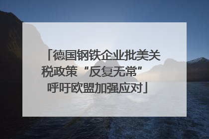 德国钢铁企业批美关税政策“反复无常” 呼吁欧盟加强应对