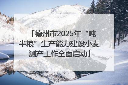 德州市2025年“吨半粮”生产能力建设小麦测产工作全面启动