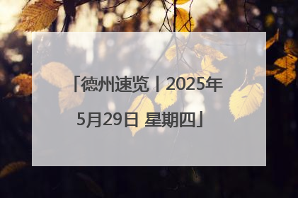 德州速览丨2025年5月29日 星期四