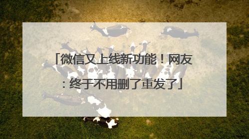 微信又上线新功能！网友：终于不用删了重发了