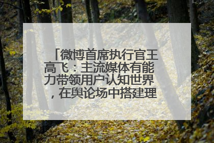 微博首席执行官王高飞：主流媒体有能力带领用户认知世界，在舆论场中搭建理性的讨论空间