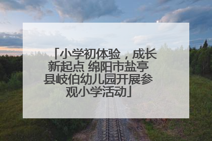 小学初体验，成长新起点 绵阳市盐亭县岐伯幼儿园开展参观小学活动