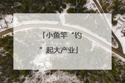 小鱼竿“钓”起大产业