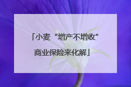 小麦“增产不增收” 商业保险来化解