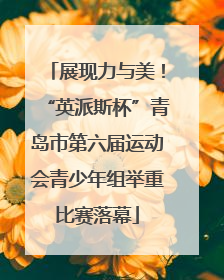 展现力与美！“英派斯杯”青岛市第六届运动会青少年组举重比赛落幕