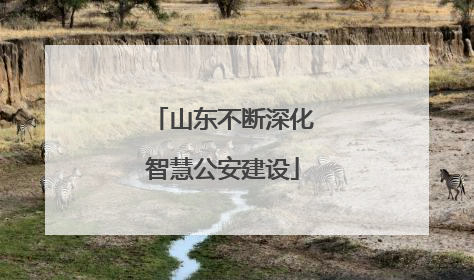 山东不断深化智慧公安建设