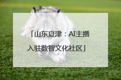 山东夏津：AI主播入驻数智文化社区