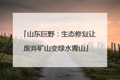 山东巨野：生态修复让废弃矿山变绿水青山