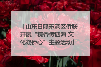 山东日照东港区侨联开展“粽香传四海 文化凝侨心”主题活动