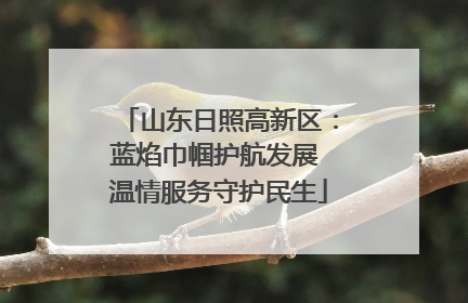 山东日照高新区：蓝焰巾帼护航发展 温情服务守护民生