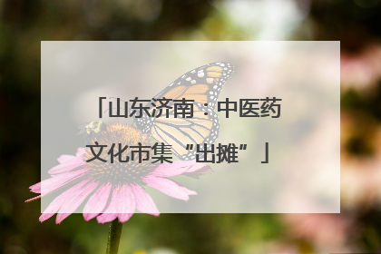 山东济南：中医药文化市集“出摊”