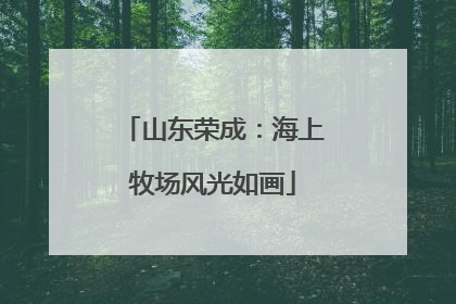 山东荣成：海上牧场风光如画