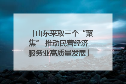 山东采取三个“聚焦” 推动民营经济服务业高质量发展