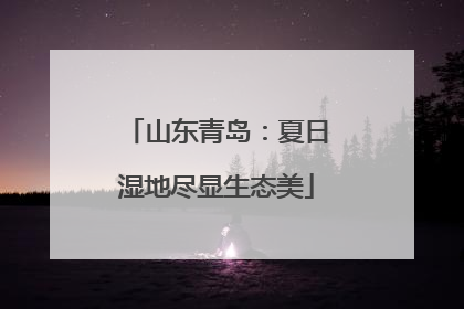 山东青岛：夏日湿地尽显生态美