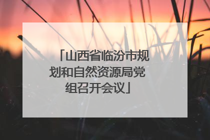 山西省临汾市规划和自然资源局党组召开会议